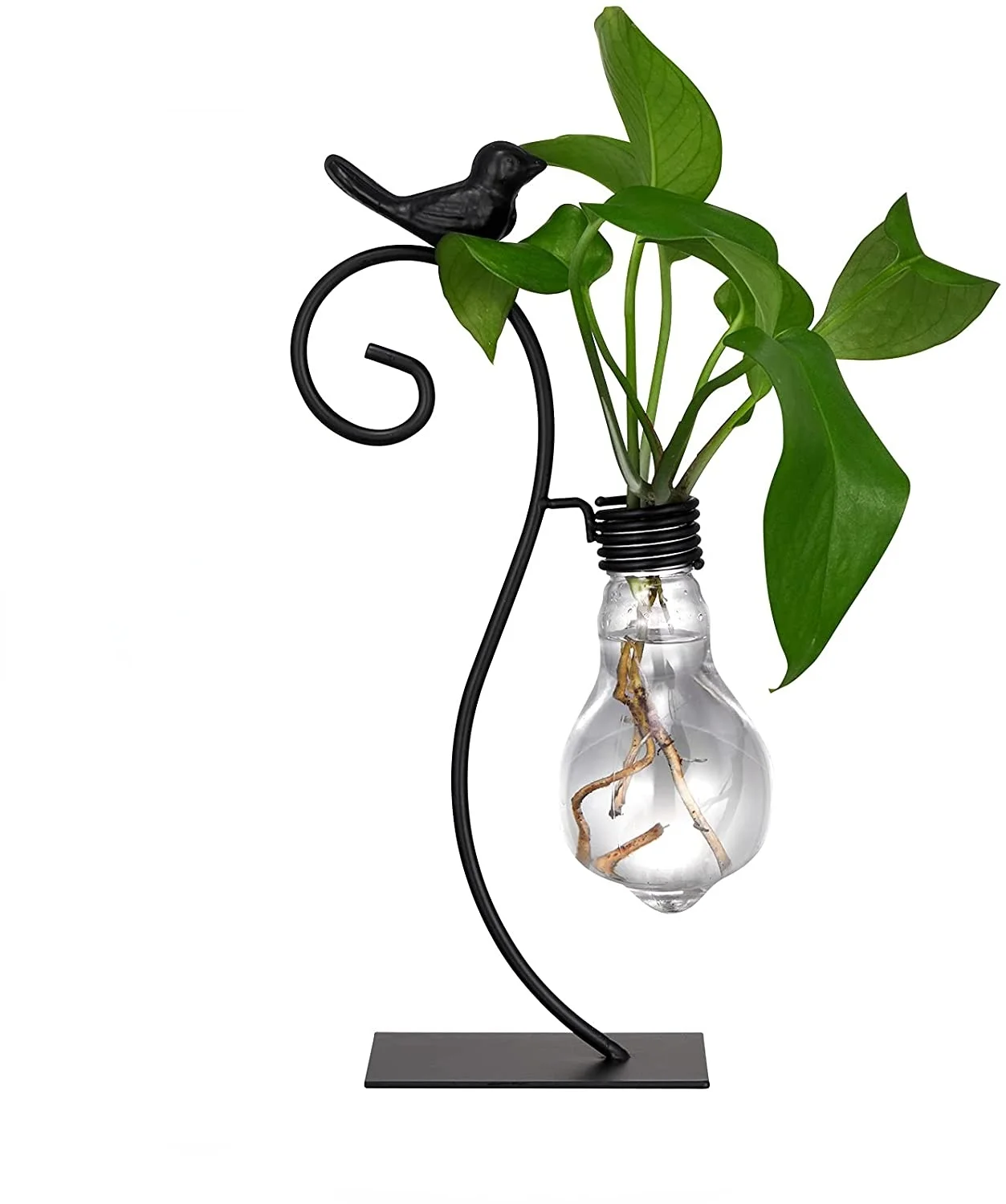 

Desktop Glass Planter Hydroponics Vase Propogation Planters Bulb Vase with Metal Stand Terrarium Stand for Home Office Decor