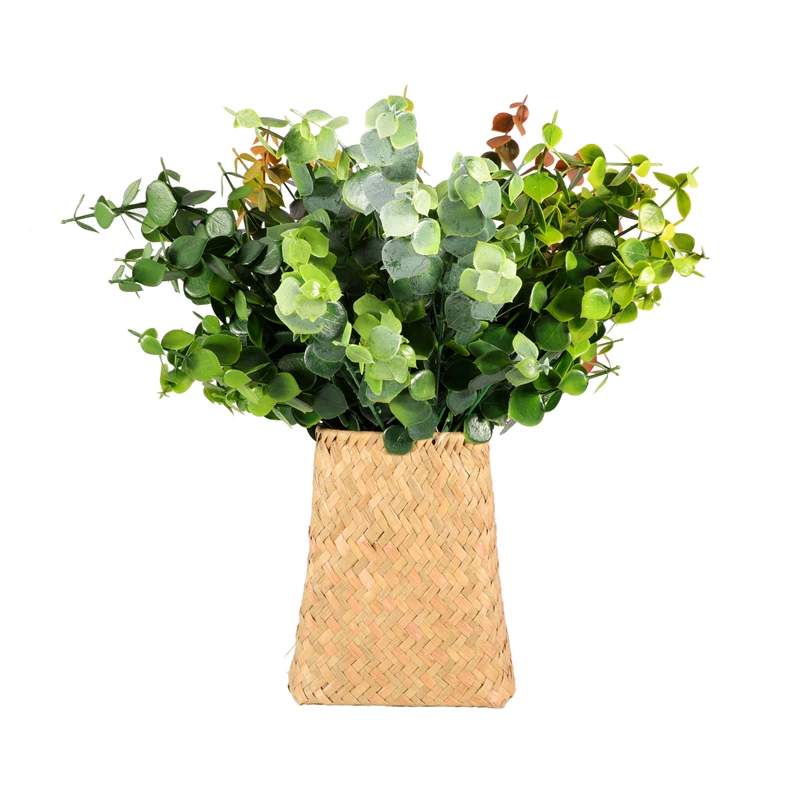 Натуральные высушенные цветы не выцветают ветки эвкалипта свежий лист