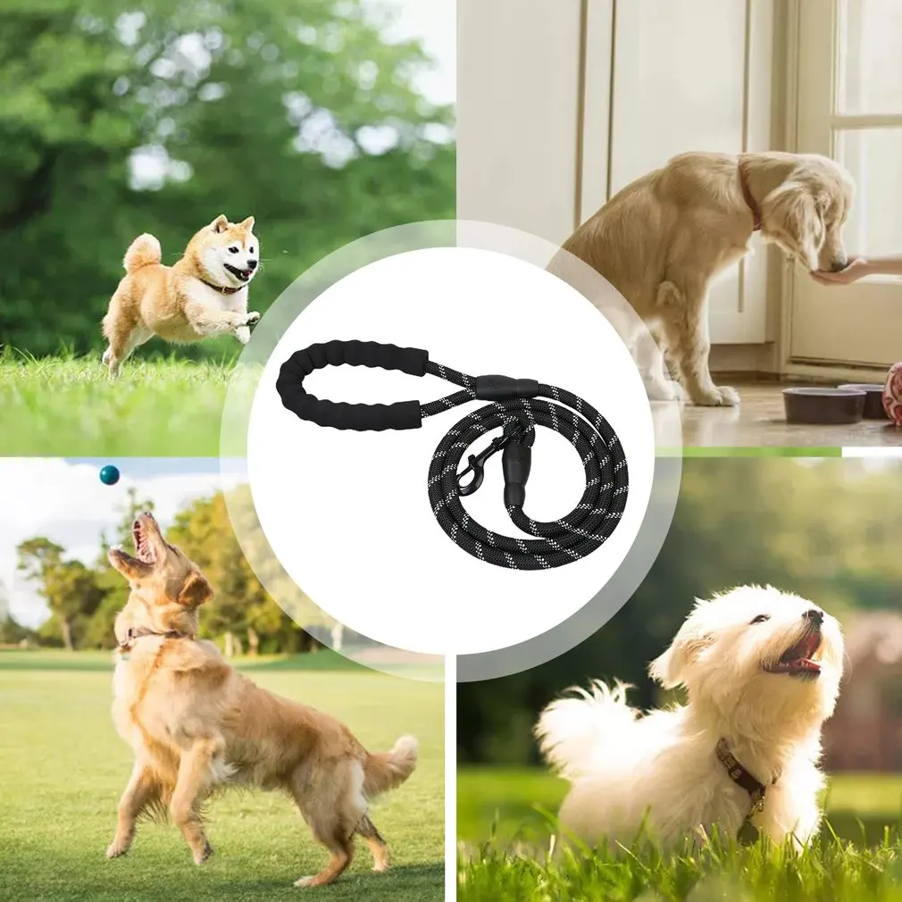 

Strong Dog Leash Handle And Highly Reflective Threads For Small Medium And Large Dogs Nylon Leash Pet Safety Belt