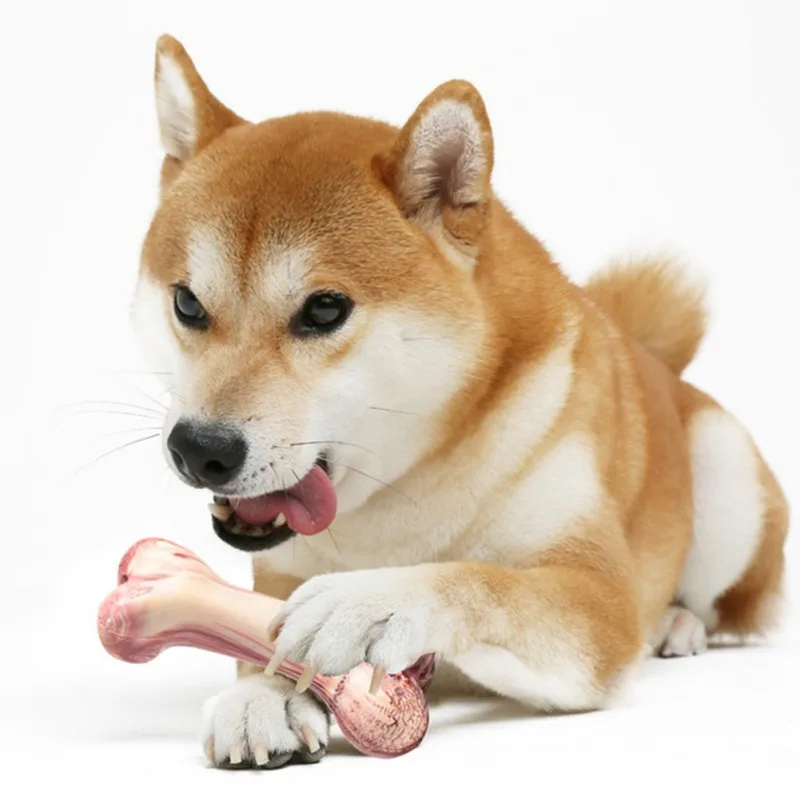 

Dog Bone Rubber Pet Toy Sound Bite-Resistant Pets Teethbrush Toys Train Teeth Clean Chewing Perros Interactive toys #1