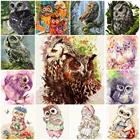 Картина на холсте с рисунком совы, 19,7x15,7 дюйма, 24 цвета