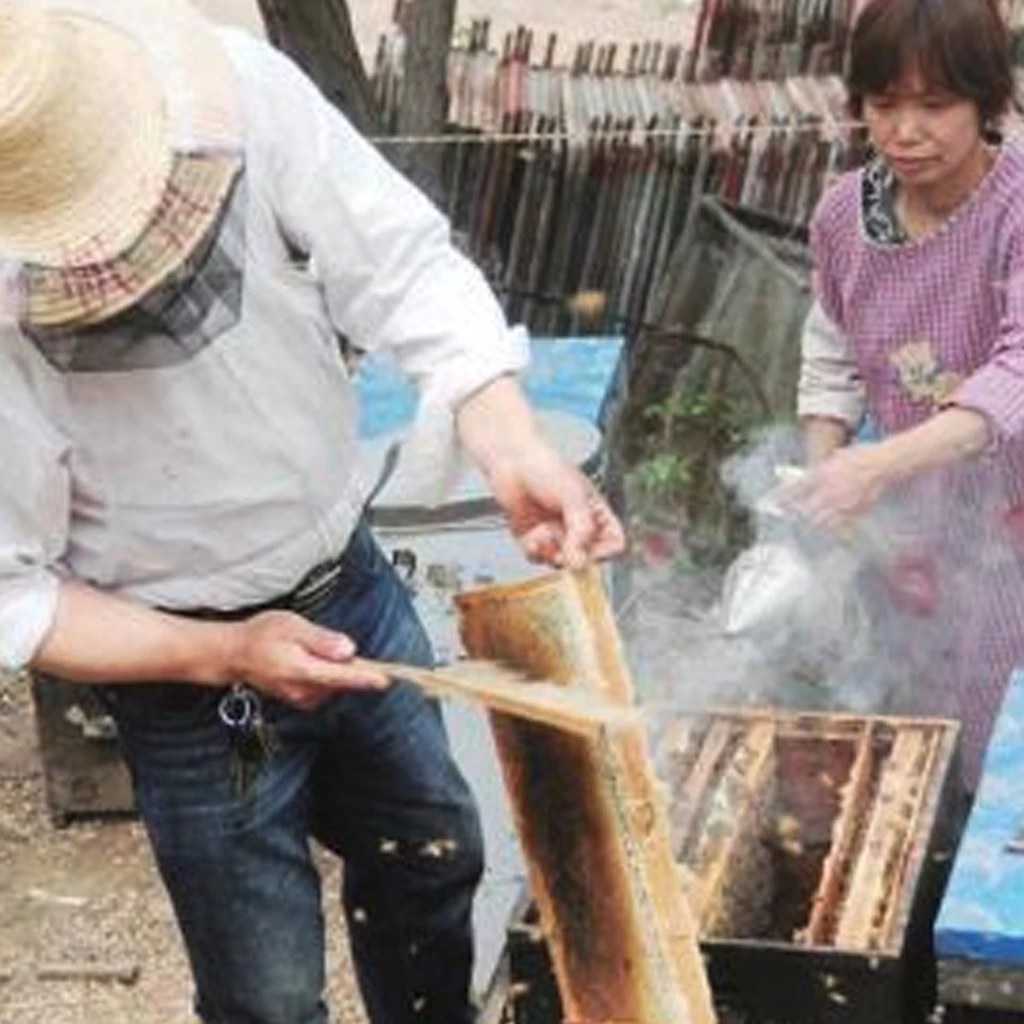 Инструменты для пчеловодства benefit деревянная щетка подметания пчелы два ряда