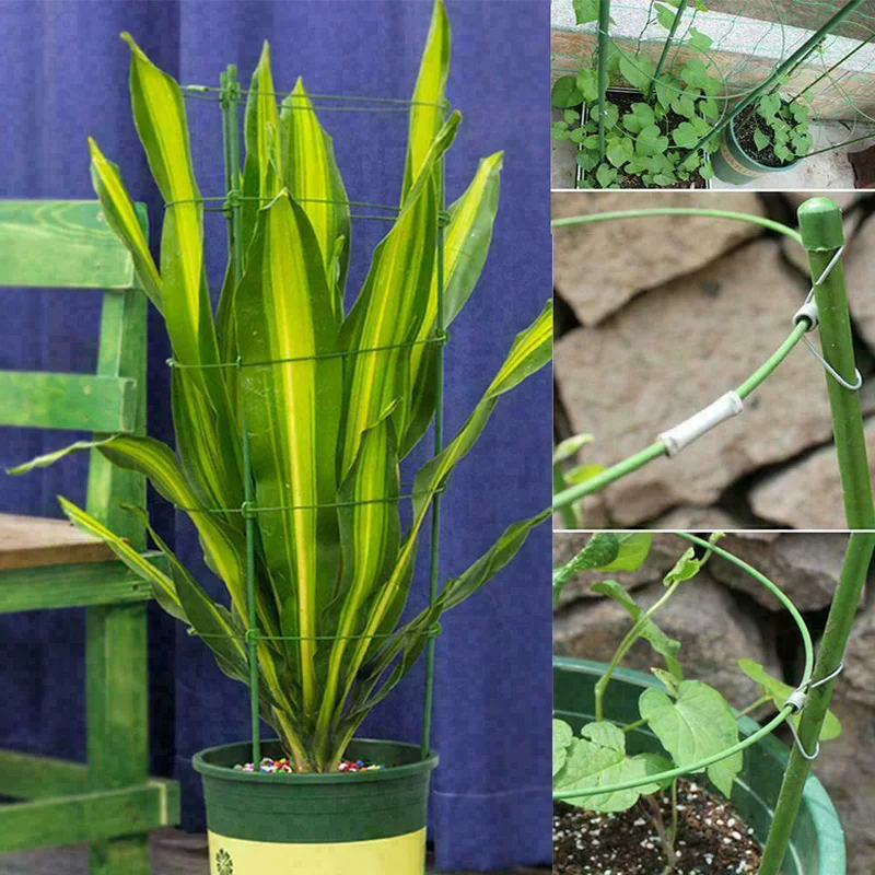 

Climbing Plant Support Cage Garden Trellis Flowers Stand Rings Tomato Support S7