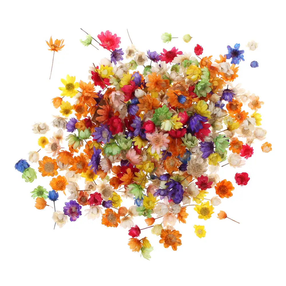 

200pc Real Dried Flowers For DIY Art Craft Epoxy Resin Candle Making Jewellery Glass cover ball filler Dried Flowers Accessories