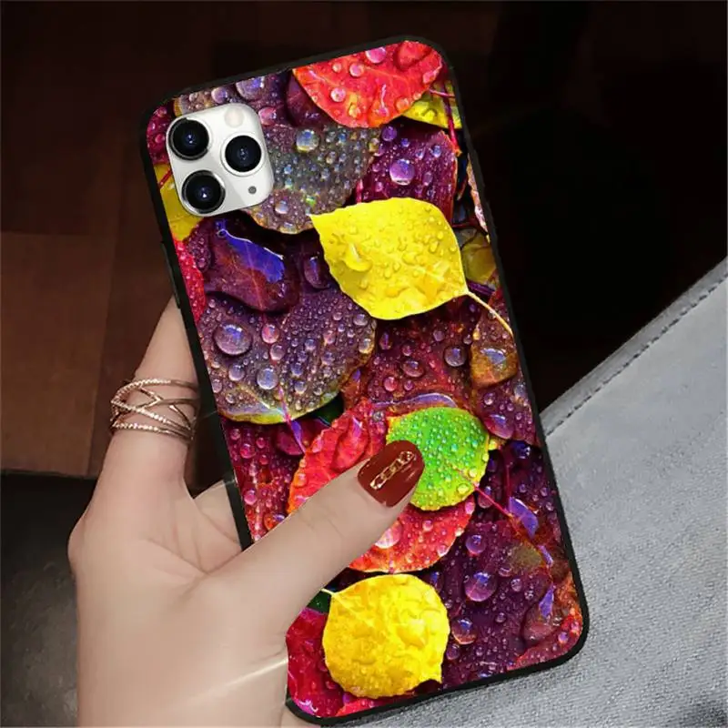 

Ladybug leaf color plant universal painting Phone Case for iPhone 11 12 pro XS MAX 8 7 6 6S Plus X 5S SE 2020 XR