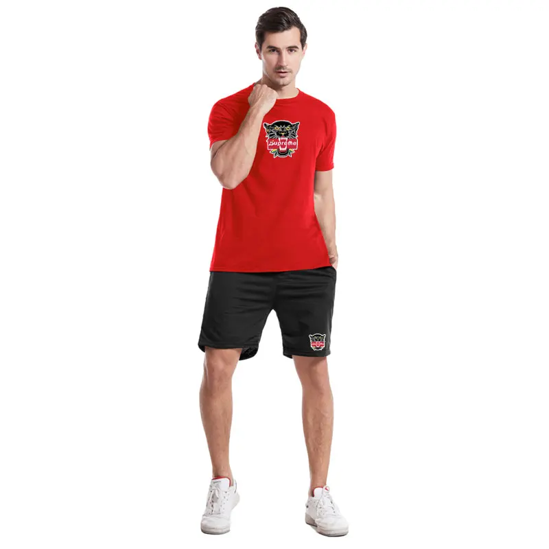 

Fashion Loose Casual Jogging Sweatshirt+Sweatshorts Two-piece New Men Pure Cotton Thin Letter Print Short Sleeve T Shirt Suit