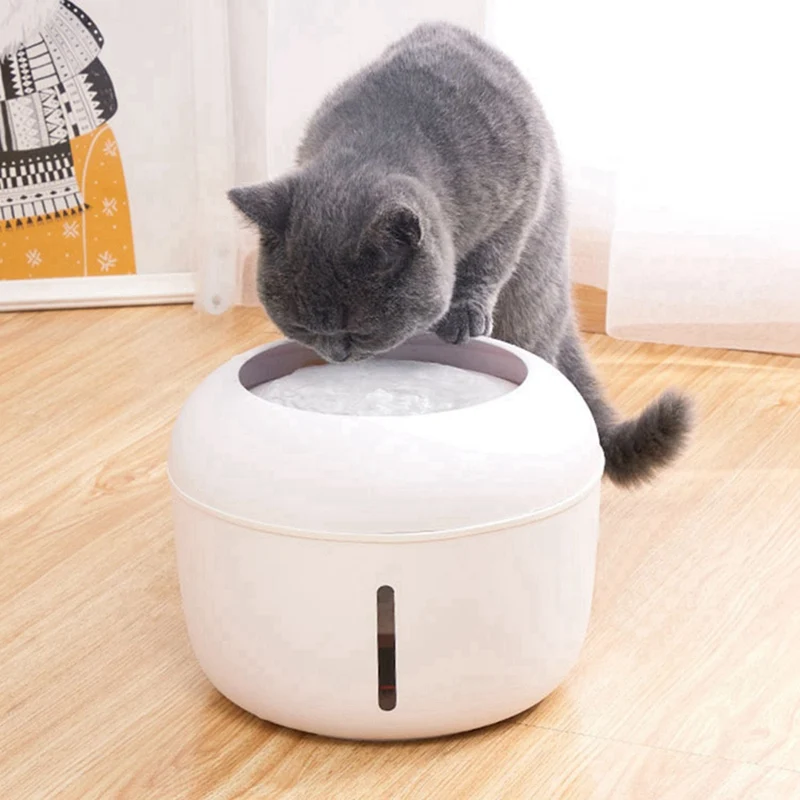 

Pet Products
