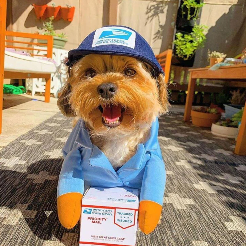 Colecciones UPS Pal-ropa para perro grande, disfraz divertido para perro peque&ntilde;o, conjunto de sombrero con capucha para fiesta de a&ntilde;o nuevo, gatos y mascotas, para invierno-3