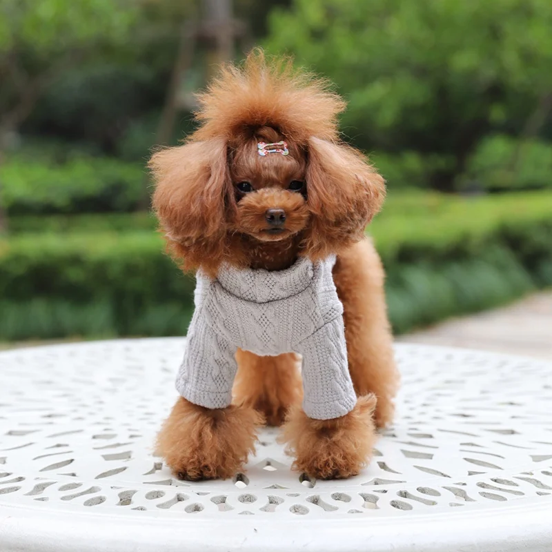 Одежда с принтом в виде собак для больших маленьких и кошек Костюмы собака пальто