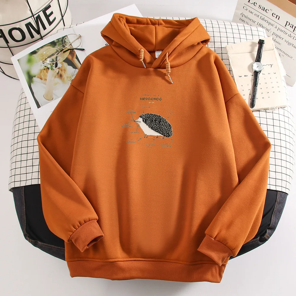 Hedgehog Animal Print Hoodie Oversized Harajuku Sweatshirt Vintage Graphic Plus Size Sweetshirt for Girls Winter Women Kpop Tops