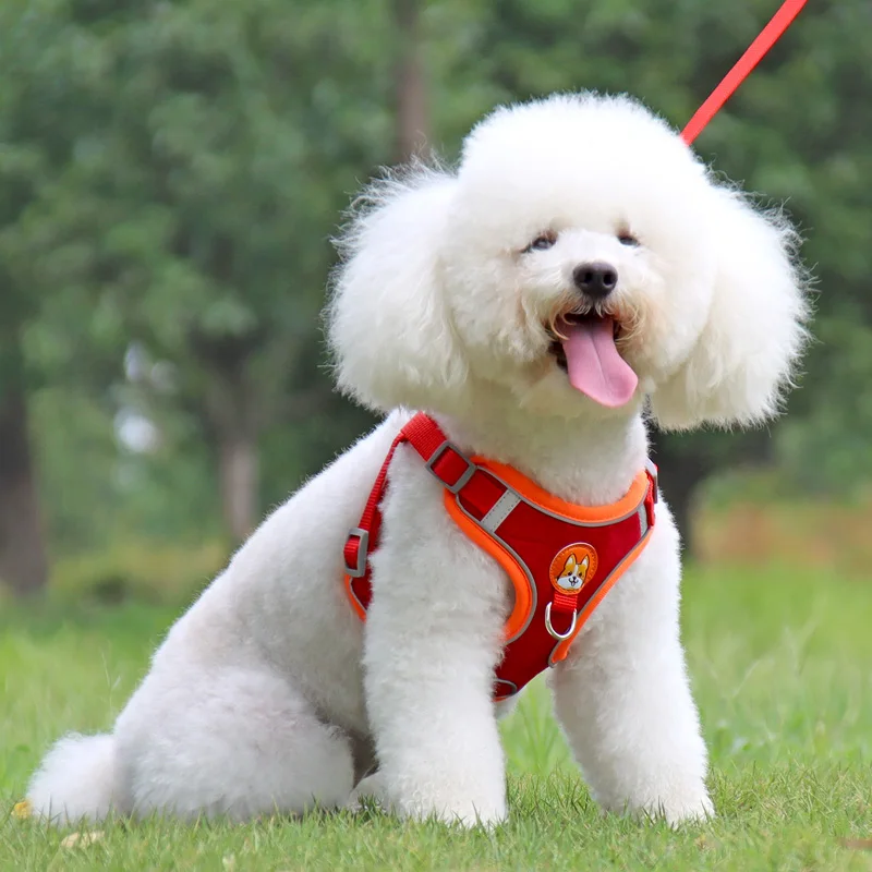 Регулируемая Светоотражающая шлейка для маленьких собак мягкий поводок