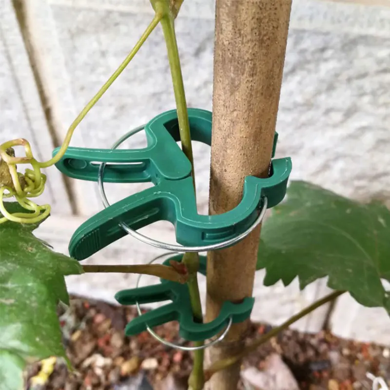 

10pcs Reusable Green Garden Plant Fixed Clips for Greenhous Vegetables Flowers Stem Vines Grape Clamp Support Fastener