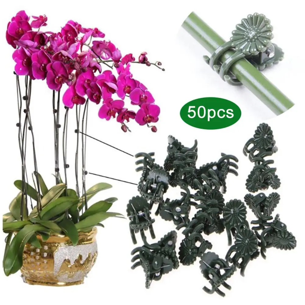 

50pcs Plastic Plant Fix Clips Orchid Stem Vine Support Vegetables Farm Flowers Fruit Tied Bundle Branch Clamping Gardening Tool