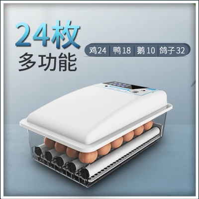 Автоматический поворотный инкубатор для яиц Mini Hatchery Китайский