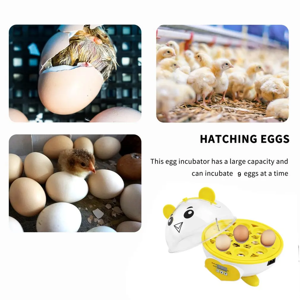

Cute Mini 9 Eggs Incubator Incubation Brooder Manual Egg Incubator Digital Temperature Adjustable Hatcher