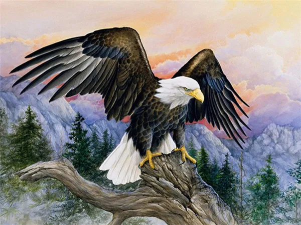 

Diamond Painting American White Eagle 5d Diy Mosaic Full Square Drill Diamant Of Rhinestone Daimond Embroidery Pictures Sales