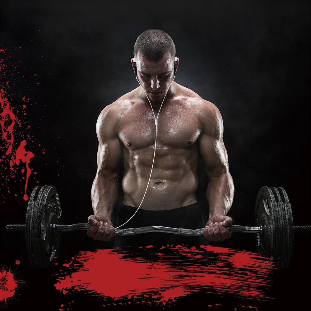 Спортивные проводные наушники с микрофоном со стереозвуком и басом для игр бега