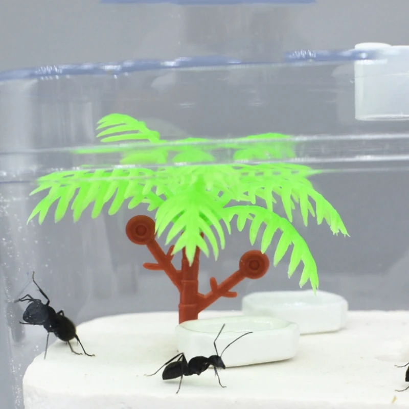 Муравьиная ферма H051 штукатурка Муравьиное гнездо искусственная мастерская