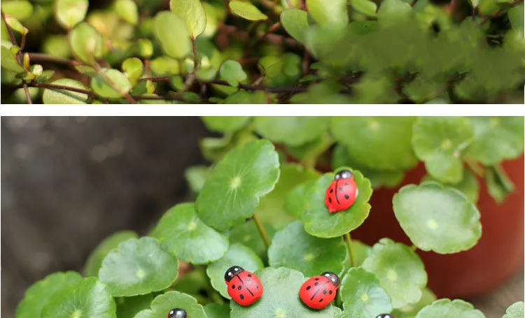 20 шт. милые деревянные Божья коровка губка самоклеющиеся наклейки для детей