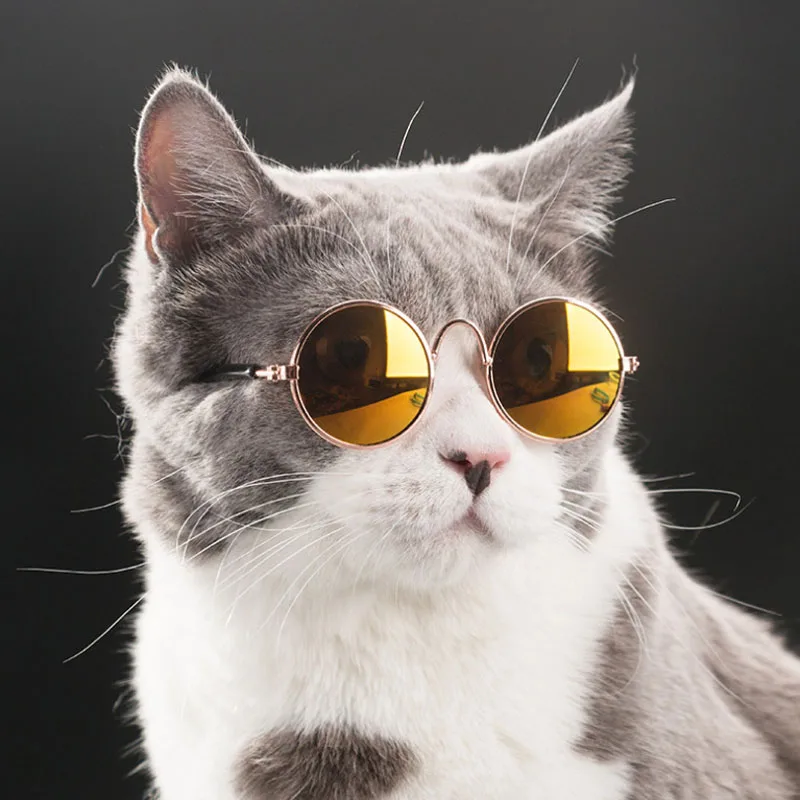 Pet Cat очки собачьи очки товары для домашних животных для маленьких собак кошачий глаз Одежда для собак Солнцезащитные очки реквизит для фотографий аксессуары для животных принадлежности игрушки