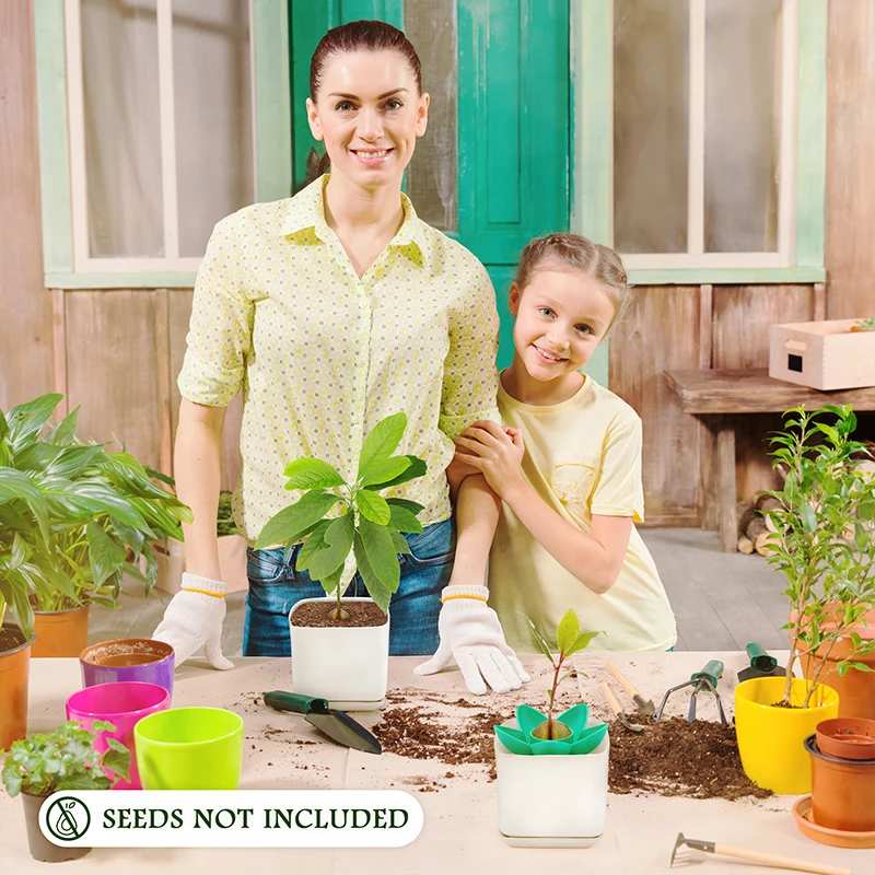 Посадочная чаша с авокадо горшки для детской комнаты подносы садоводства