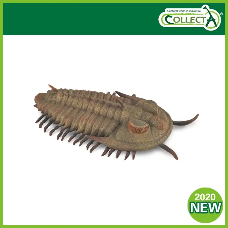 

New Arrival 2020 CollectA Trilobites Prehistoric Marine Organism Animals Model classic toys for boys 88906