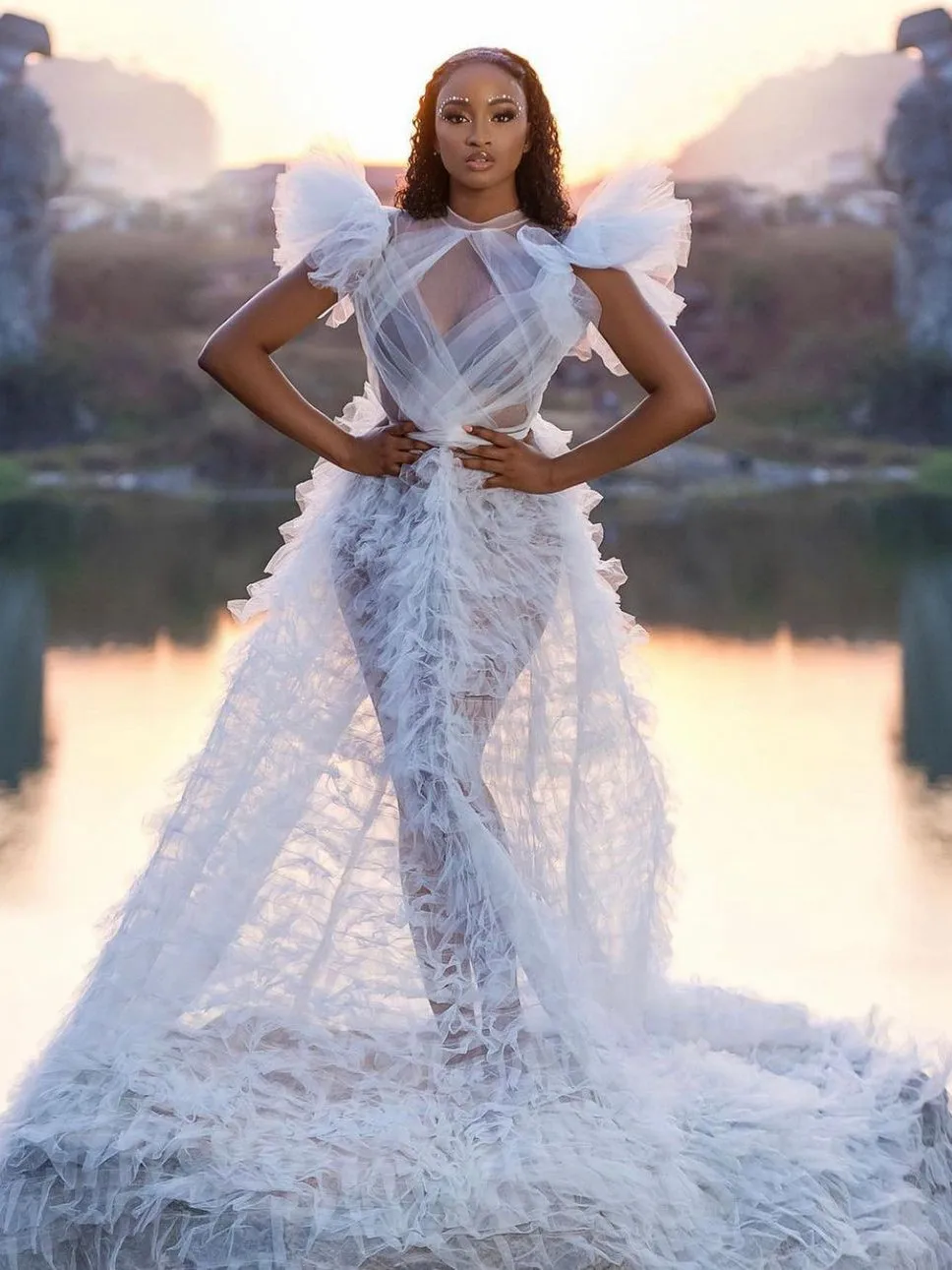 

New Design Prom Dresses Sexy See Through Ruffles Sleeves Sheer Tulle Women Aso Ebi Evening Gowns Pleat Illusion Dress