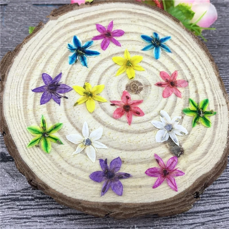 60 шт. прессованный высушенный лук цветок гербарий для нейл арта макияж лица