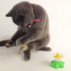 Автоматическая электрическая вращающаяся игрушка для кошки красочными бабочками и бантиками; С изображениями животных и птиц Форма пластик забавные котенок домашней собаки интерактивные обучающие игрушки