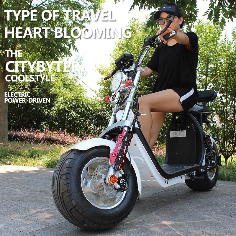 Взрослые 10 дюймовые двухколесные толстые шины двойная гидравлическая