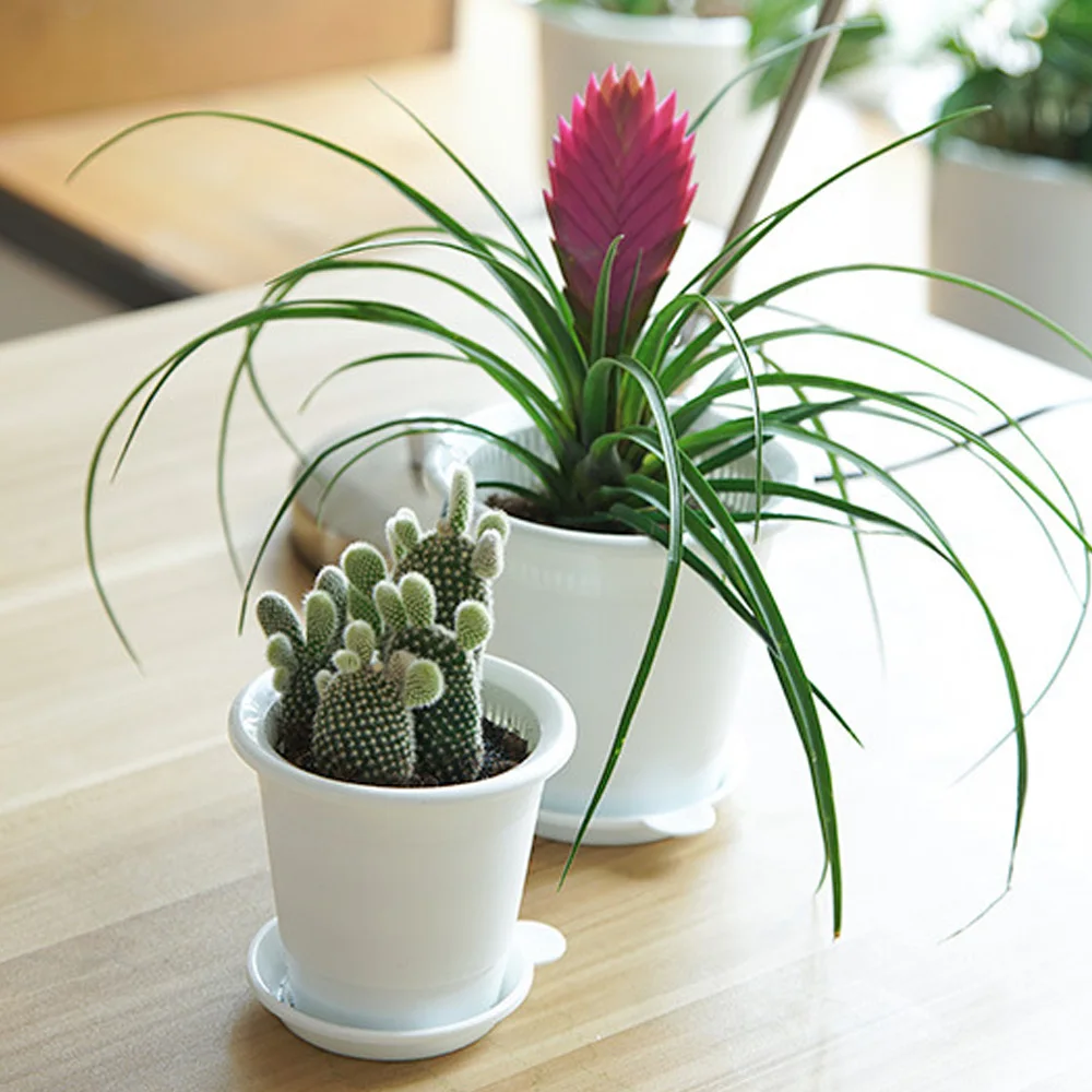 Горшок для корней контейнер растений Орхидея суккуленты Цветочная коробка