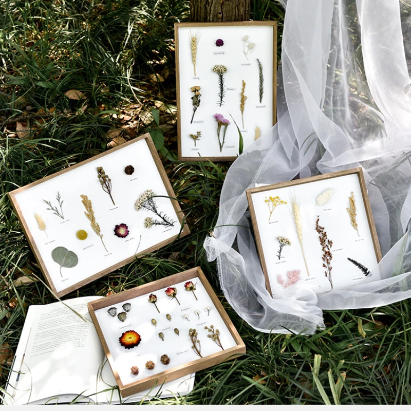 

Creative Wood Crafts Plant Specimens Living Room Home Decoration Accessories Wall Decoration Wall Hanging Specimen Frame
