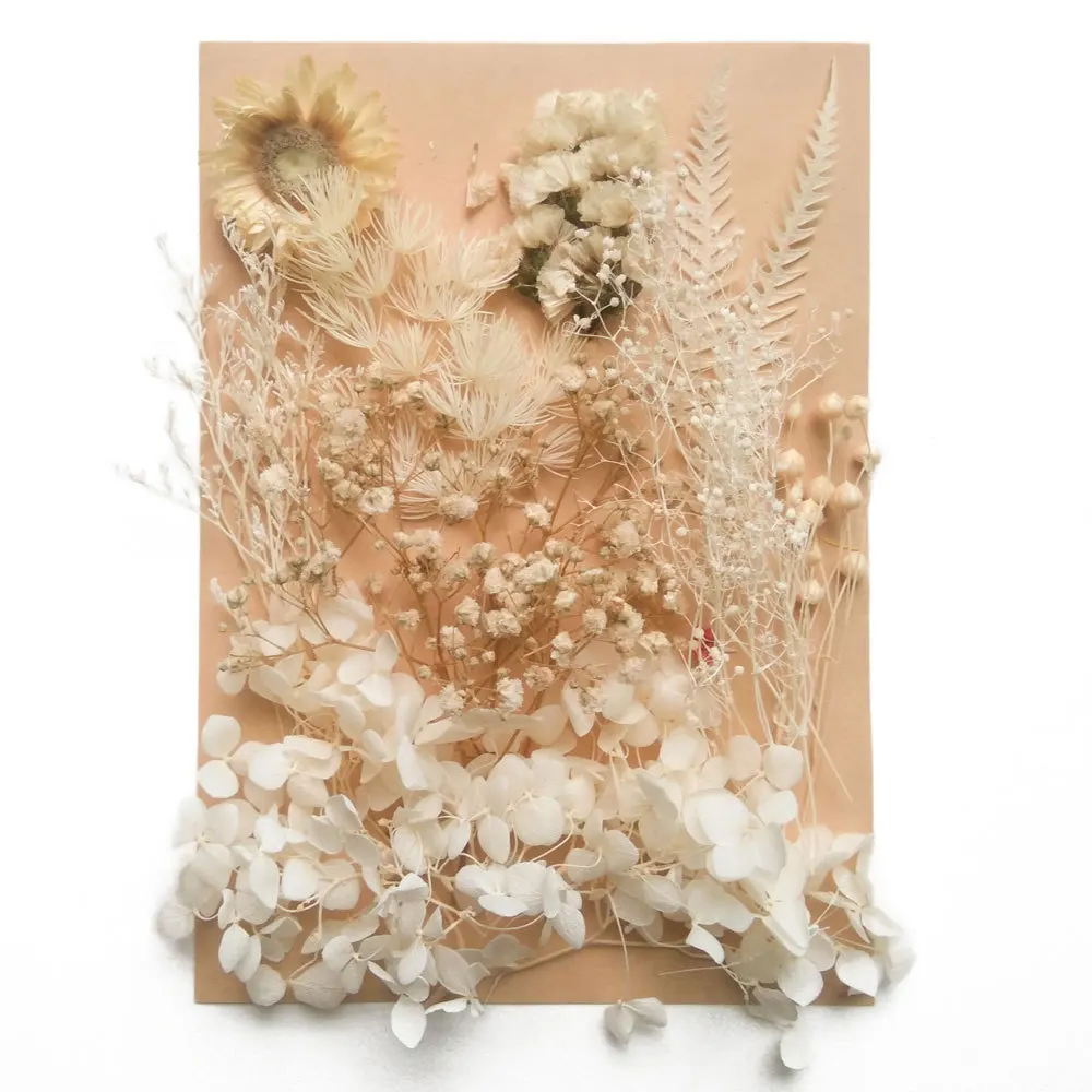

DIY Material Pack Preserved Flower Boxed Mixed Dried Flowers