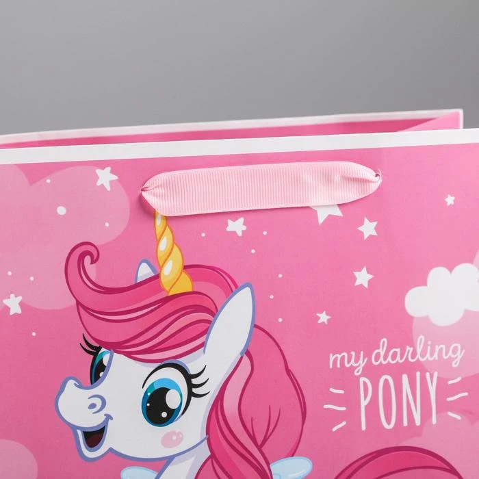 Пакет ламинированный вертикальный My darling pony ML 23 × 27 11 5 см |