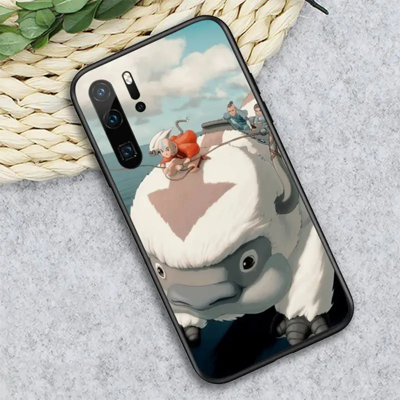 

Luxury Avatar The Last Airbender Phone Case For Huawei honor Mate P 10 20 30 40 i 9 8 pro x Lite smart 2019 nova 5t
