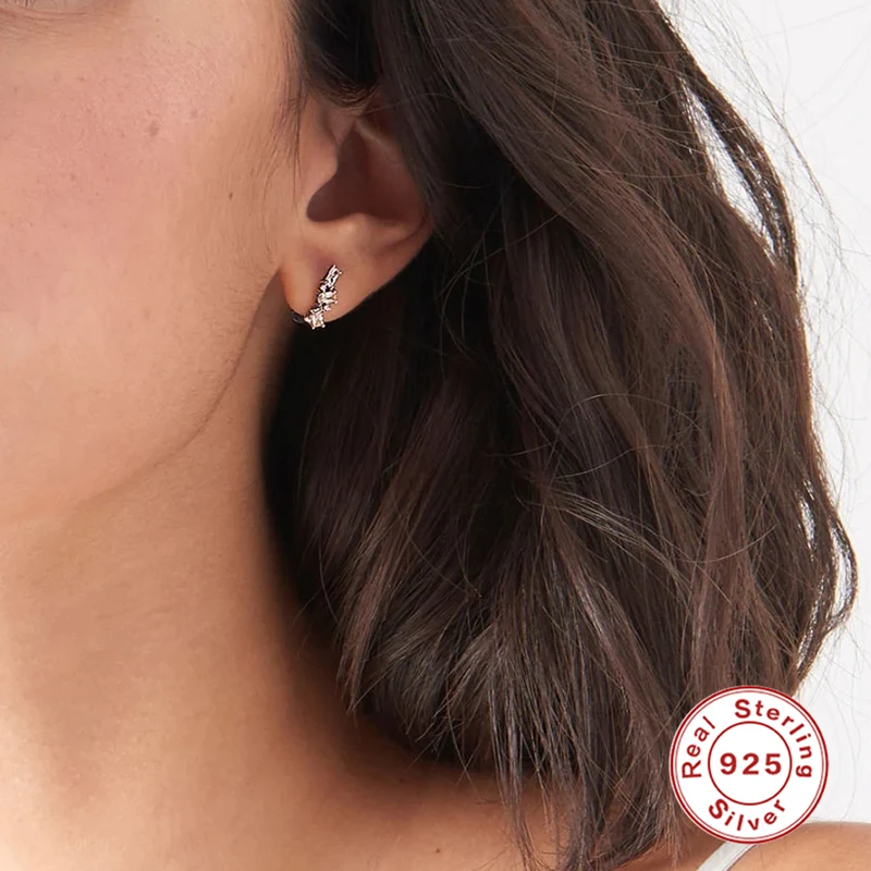 

Aide INS Korea 925 Sterling Silver Light Luxury Zircon U-Shaped Stud Earrings Buckle For Women Girls Wedding Party Gifts Jewelry