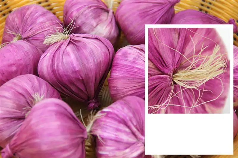 6 шт. Реалистичный искусственный чеснок Реалистичная имитация овощей