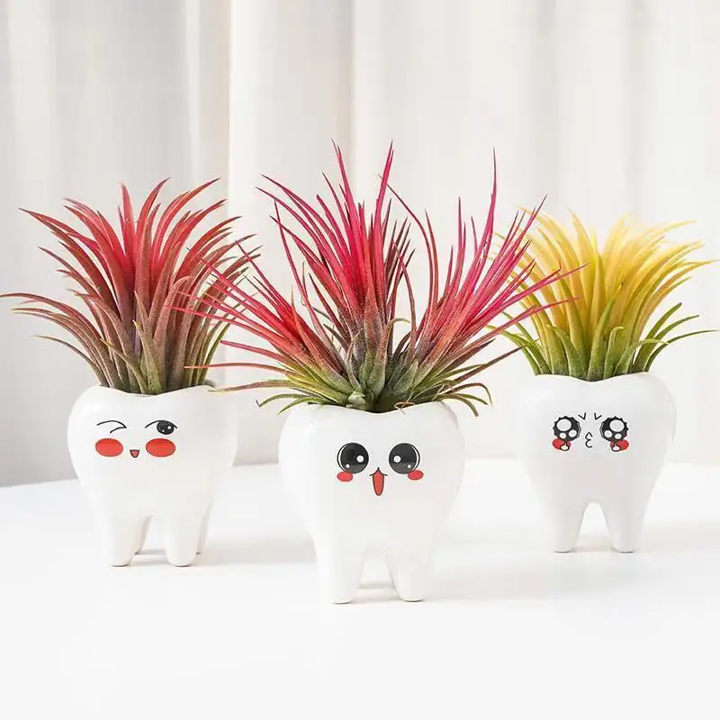 

Teeth Shape Flowerpot Innovation Cute Cartoon Ceramic Succulent Flower Pot Modern Design Home Decoration Does Not Include Pots
