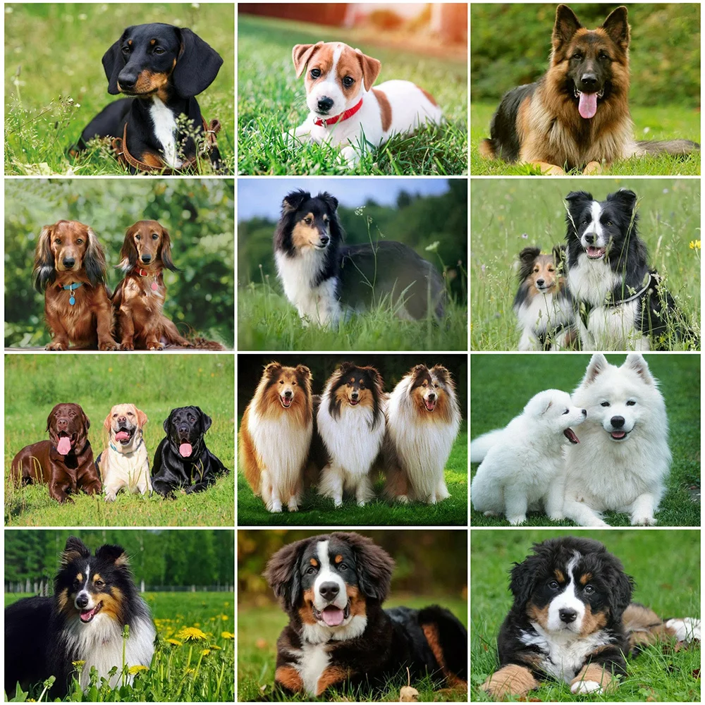 

MomoArt "сделай сам" алмазов картина с изображением животных на весну полный дрель квадратный Бриллиантовая мозаичная собака» для вышивания кр...