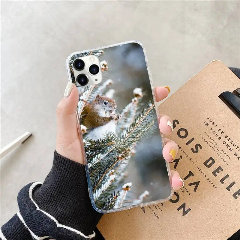 

squirrel in the snow Phone Case for iPhone 11 12 mini pro XS MAX 8 7 6 6S Plus X 5S SE 2020 XR