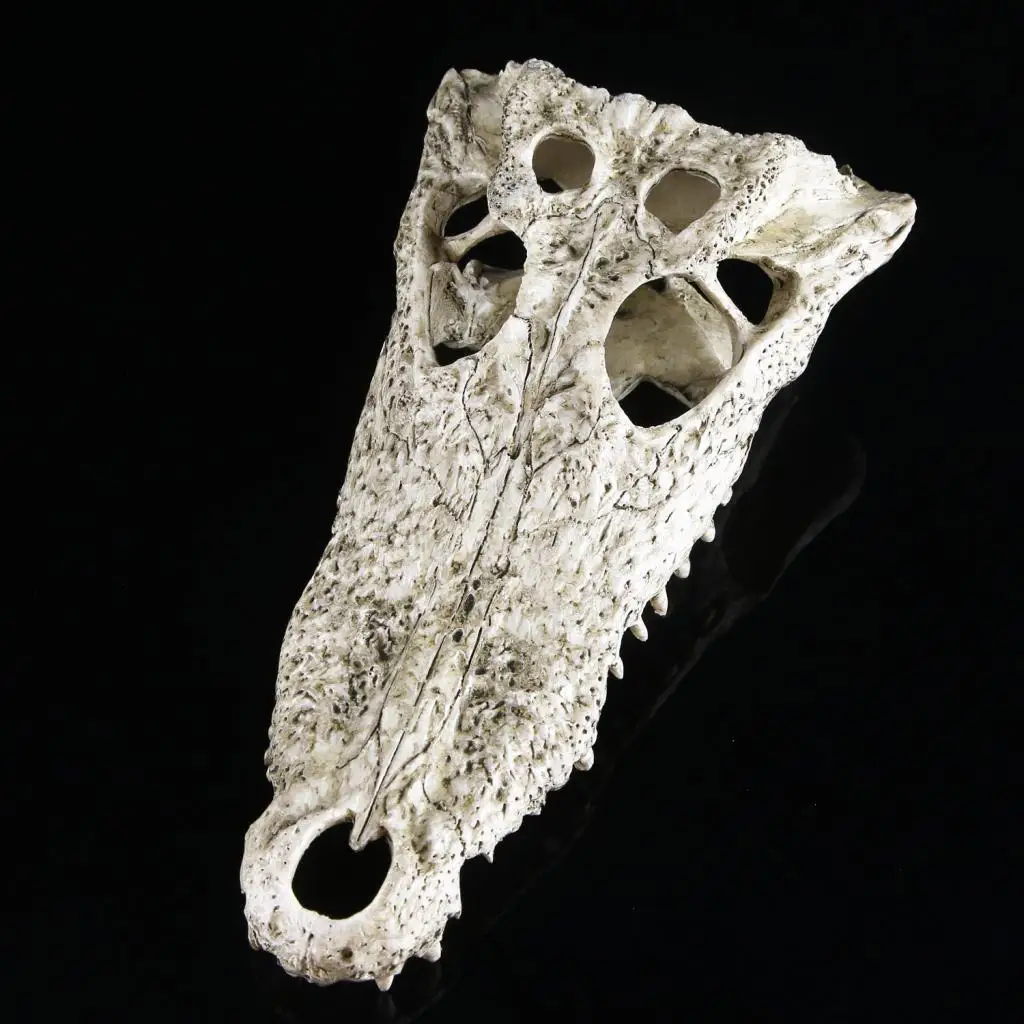 

Mini Resin Animal Skull Aquarium Ornament Fish Tank Reptile Terrarium Decor