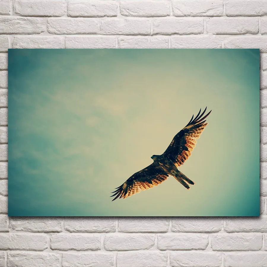 Hawk eagle flying predator bird животные свобода художественное оформление декор для гостиной