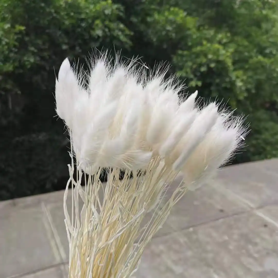 100 шт./лот сушеные цветы с натуральным кроличьим хвостом настоящие на ощупь