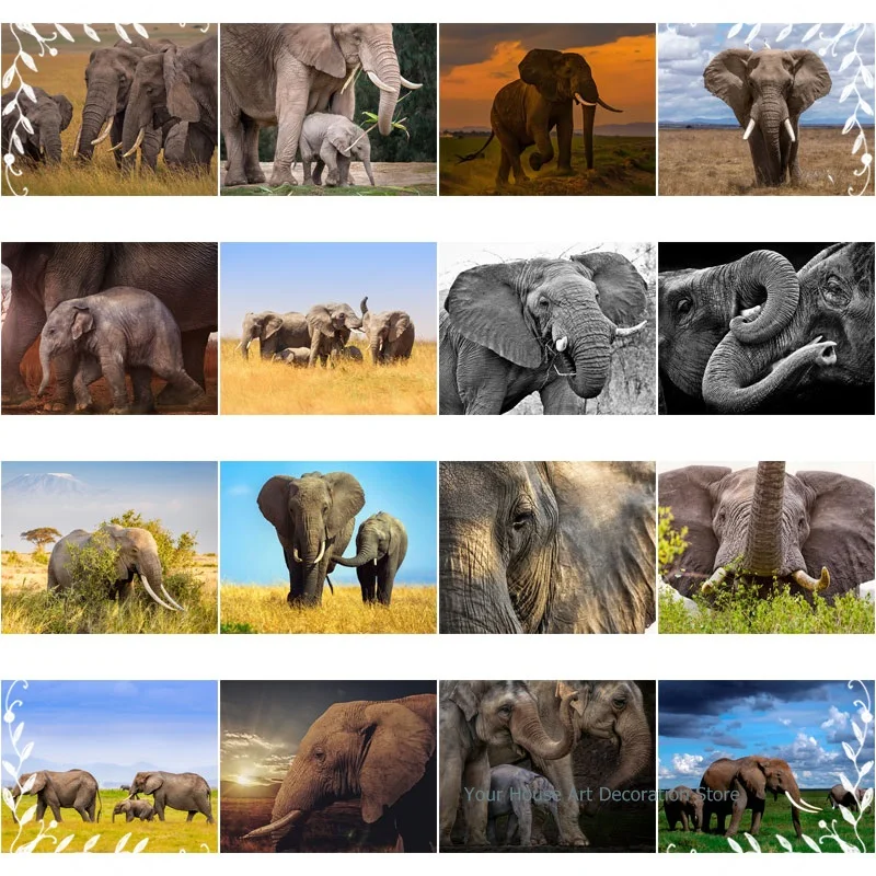 

Diy Diamond Painting Elephant Ivory Scenery 5D Full Square Rhinestone Embroidery Diamond Art Picture of Rhinestones Home Decor