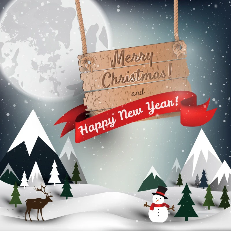 

Christmas Backdrop Cartoon Winter Night Snowman Photography Background Happy New Year Xmas Party Decoration Photo Booth Props