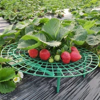 strawberry stand frame holders balcony planting rack plants fruit 51015 pcs