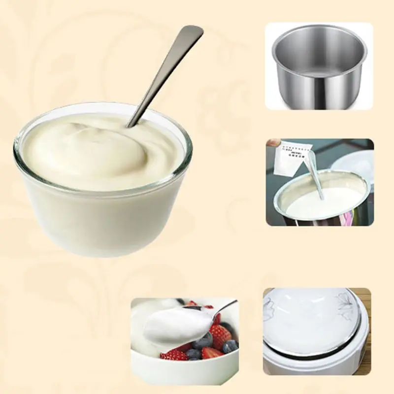 

Yogurt Yeast Starter Natural 5 Types of Probiotics Home Made Lactobacillus Maker