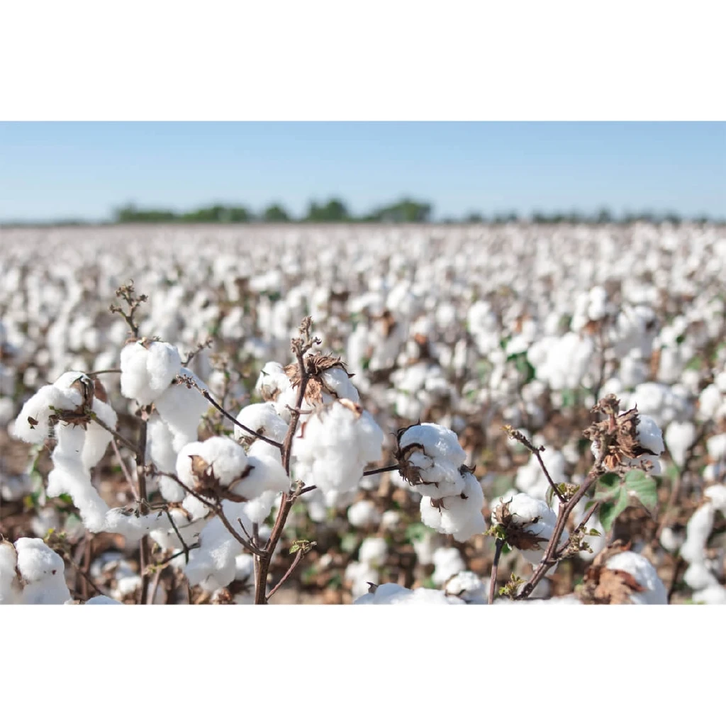 

Shiba Inu T-Shirt Pakaian 2021 Spring Summer New Short Sleeve O-Neck Men T Shirt