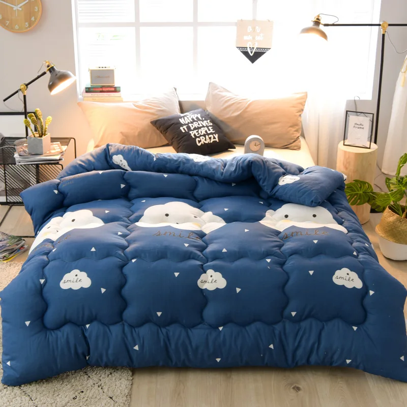 

High Quality Winter Thickening Warm Quilt 100% Silk Quilt Spring Autumn Comforters Luxury Quilt King Queen Twin Full Size