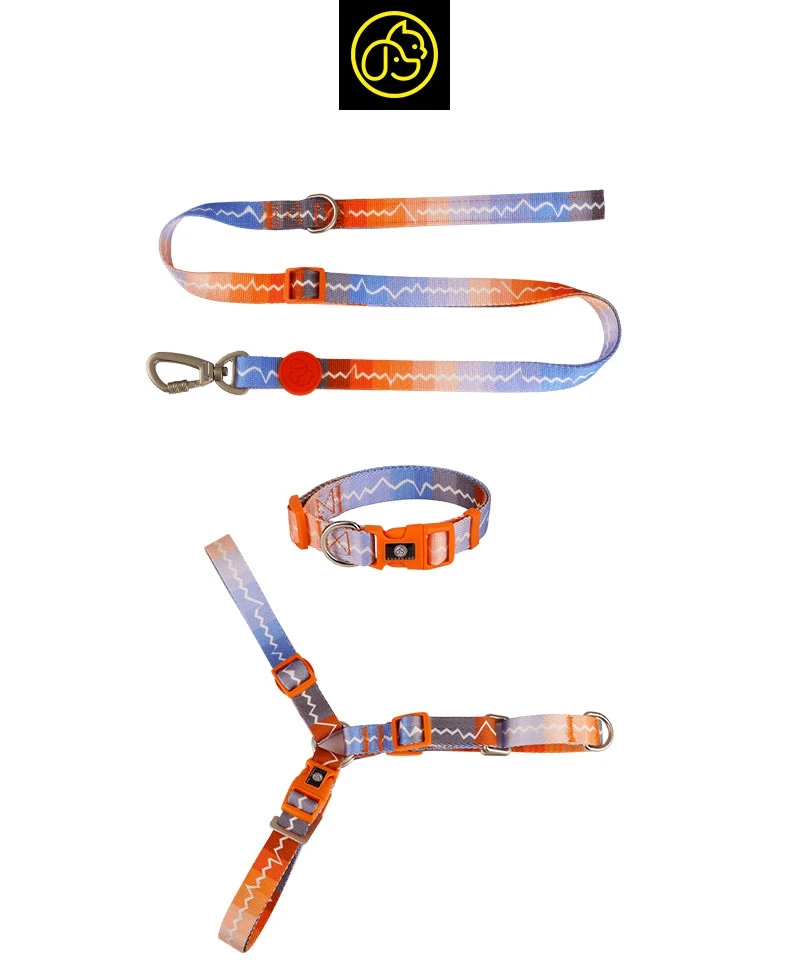 

Dog Training Leash Dog Collar Lightweight Small Medium Dog High Quality Collar